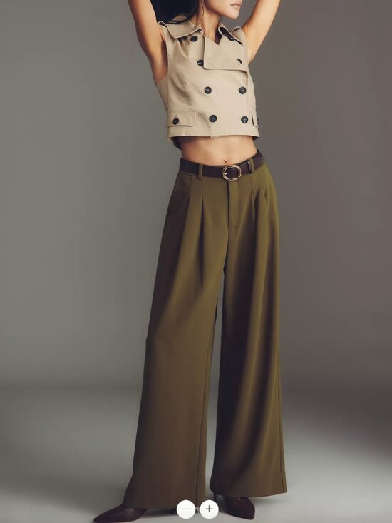Anthropologie Pants - Anthropologie NWT Avery Wide-Leg Pleated Trousers by Maeve - S